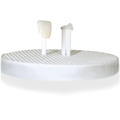 Pâte Cuisson Auxiliaire Fring Paste Céramique — DEP001