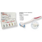 Kit ProxyStrip Orthodontique — Stripping IPR | N003