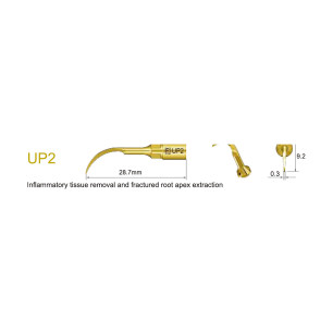 Insert UP2 chirurgie parodontale piézo | MaxSurgery III