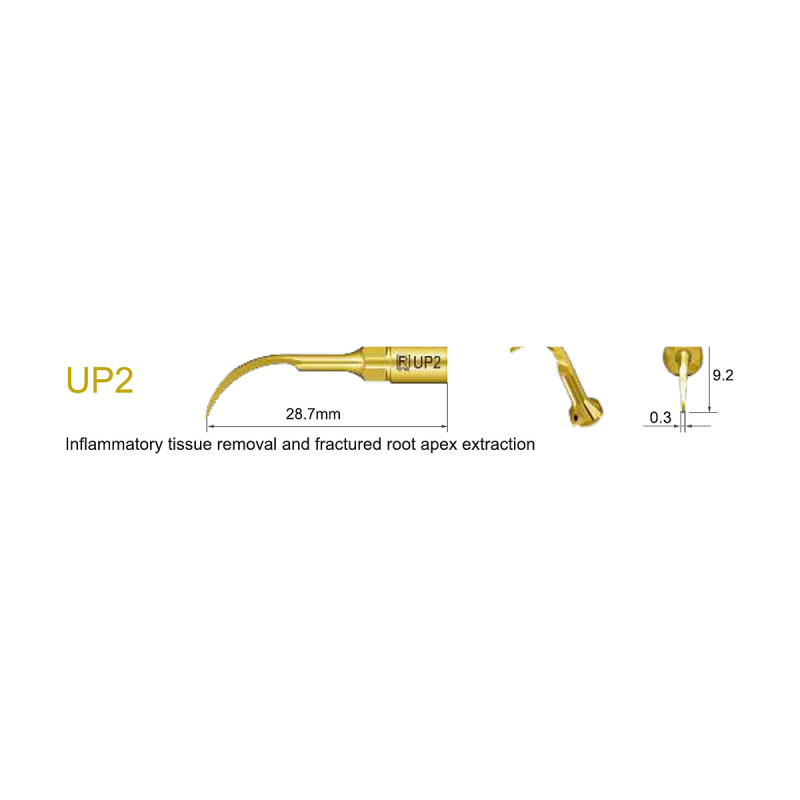 Insert UP2 – Pointe de chirurgie parodontale ultrasonique pour MaxSurgery III