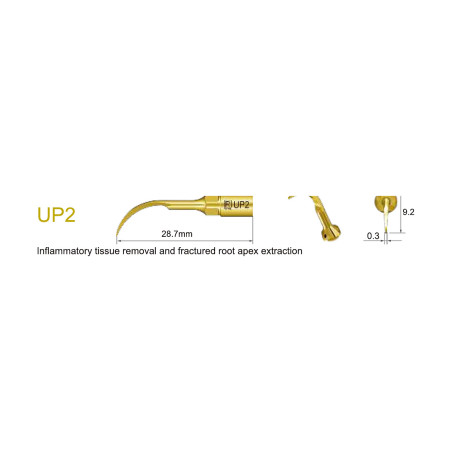 Insert UP2 chirurgie parodontale piézo | MaxSurgery III
