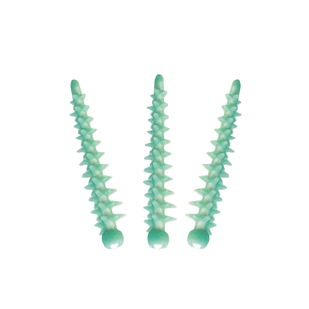 Coins Silicone Modulables Matrices Dentaires — Contact Proximal