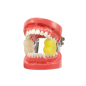 Cale Dentaire Enfant — Ouverture Buccale & Maintien Bouche Ouverte | ZTD011