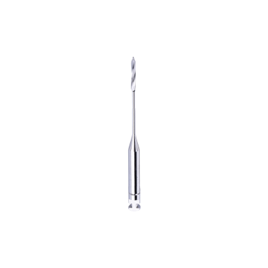 Forets Largo Peeso Endodontie — Logement Pivot Tenon | DPE019