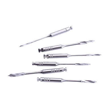 Forets Largo Peeso Endodontie — Logement Pivot Tenon | DPE019