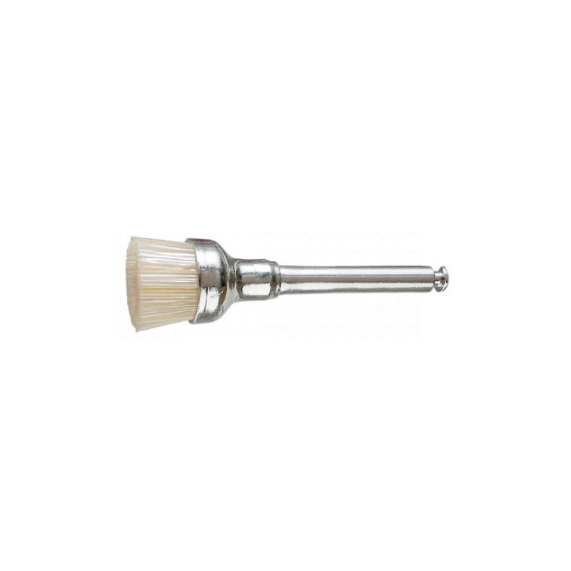 Brossette Nylon Soft pour Prophylaxie Dentaire — Polissage & Détartrage | ZTD010 Brossette Nylon Soft pour Prophylaxie Dentaire — Polissage & Détartrage | ZTD010