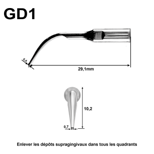 Inserts Compatibles Satelec Détartreur Piezo — Paro | REF079