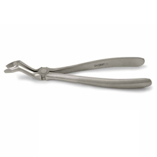 Davier 3e molaire supérieure – Extraction des dents de sagesse maxillaires