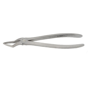 Davier Racine Maxillaire Extraction Résidu — MED033