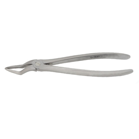 Davier Racine Maxillaire Extraction Résidu — MED033