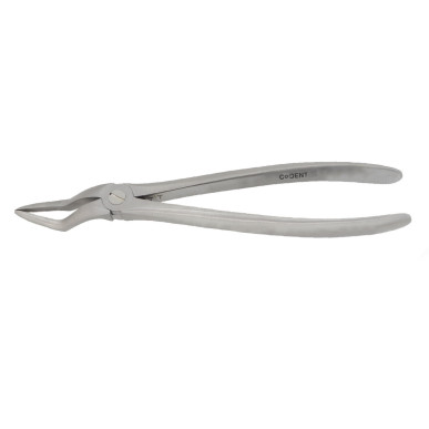 Davier Racine Maxillaire Extraction Résidu — MED033