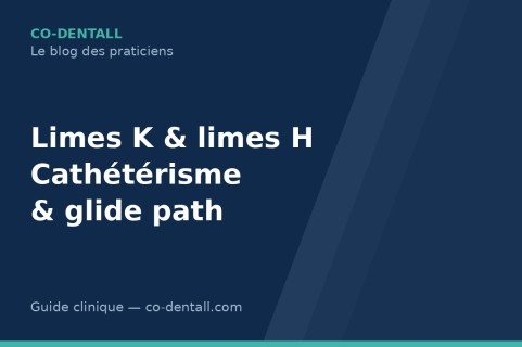 Limes K et limes H manuelles : cathétérisme et glide path — le guide clinique