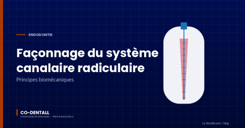 Le façonnage du système de canal radiculaire