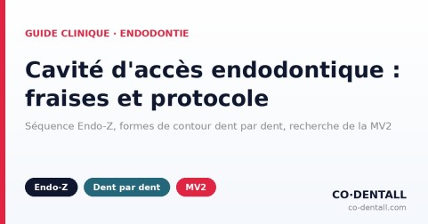 Cavité d'accès endodontique : quelle fraise à quelle étape ? Protocole dent par dent