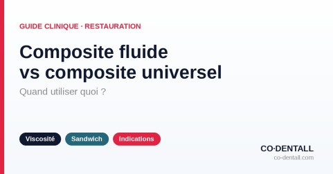 Composite fluide vs composite universel : quand utiliser quoi ?