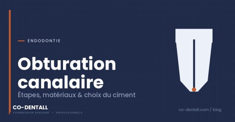 Obturation canalaire : étapes, matériaux et choix du ciment