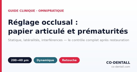 Réglage occlusal après restauration : papier articulé, prématurités et interférences