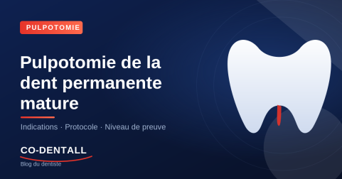Pulpotomie de la dent permanente mature : indications, protocole et taux de succès